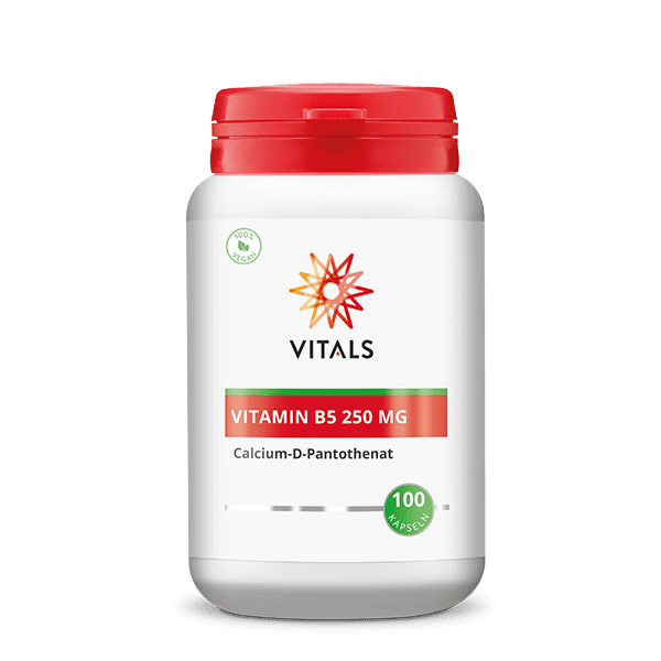 Vitamin B5 250 mg von VITALS